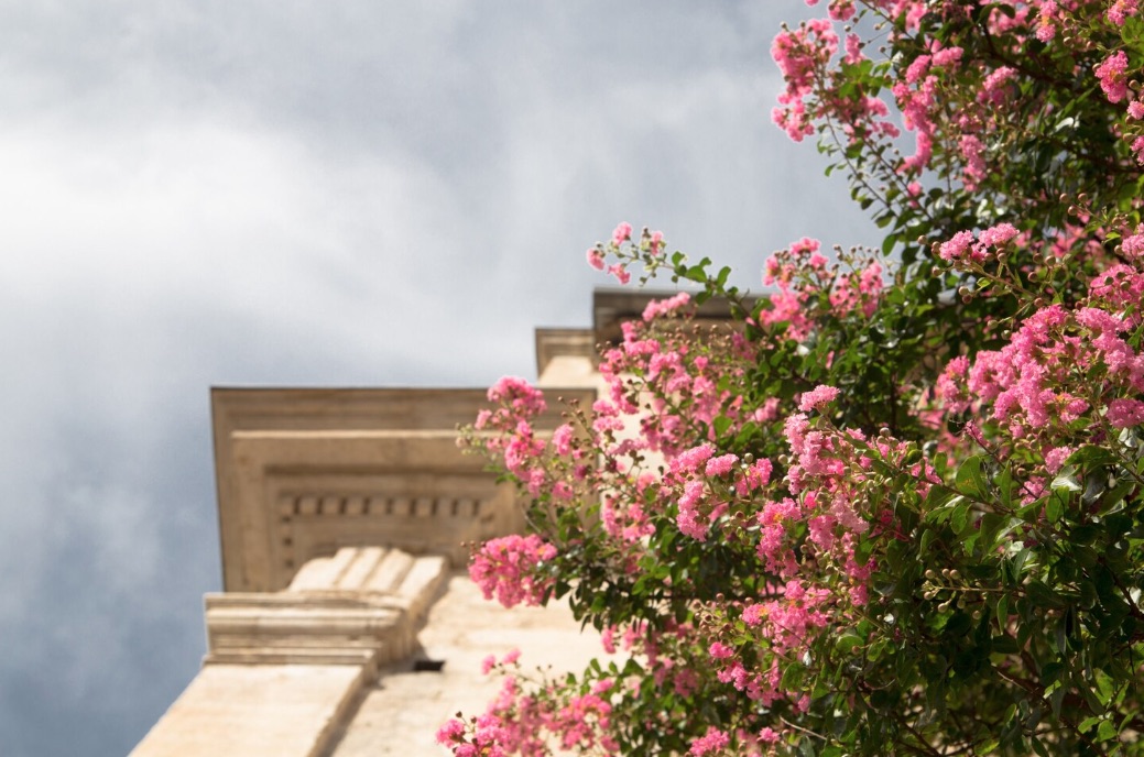 Giardino mediterraneo